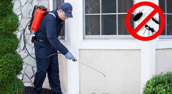 Balışeyh Uçan Haşere İlaçlama böcek ilaçlama ve haşere kontrolü — ilaclama-tr.com